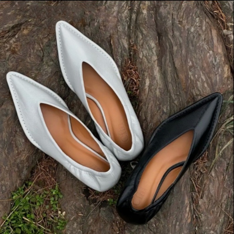Women'S Fashion Shoes - 2025 New Pointed Toe Single Shoes
